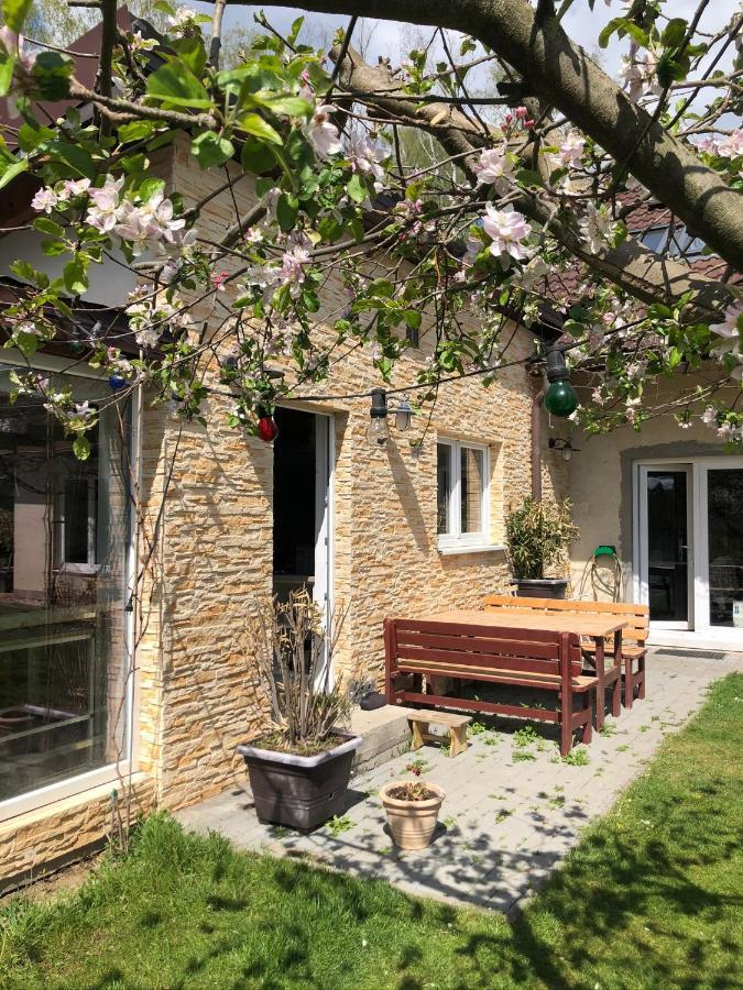 Apartman Marmelada Ctyrkoly 외부 사진