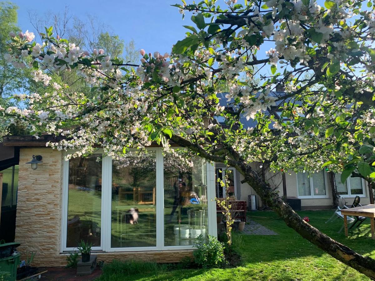 Apartman Marmelada Ctyrkoly 외부 사진